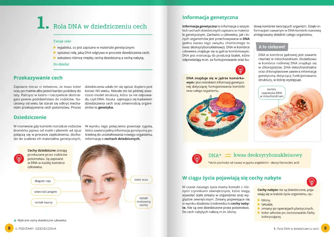 Ile godzin biologii w 8 klasie? Odkryj, co musisz wiedzieć