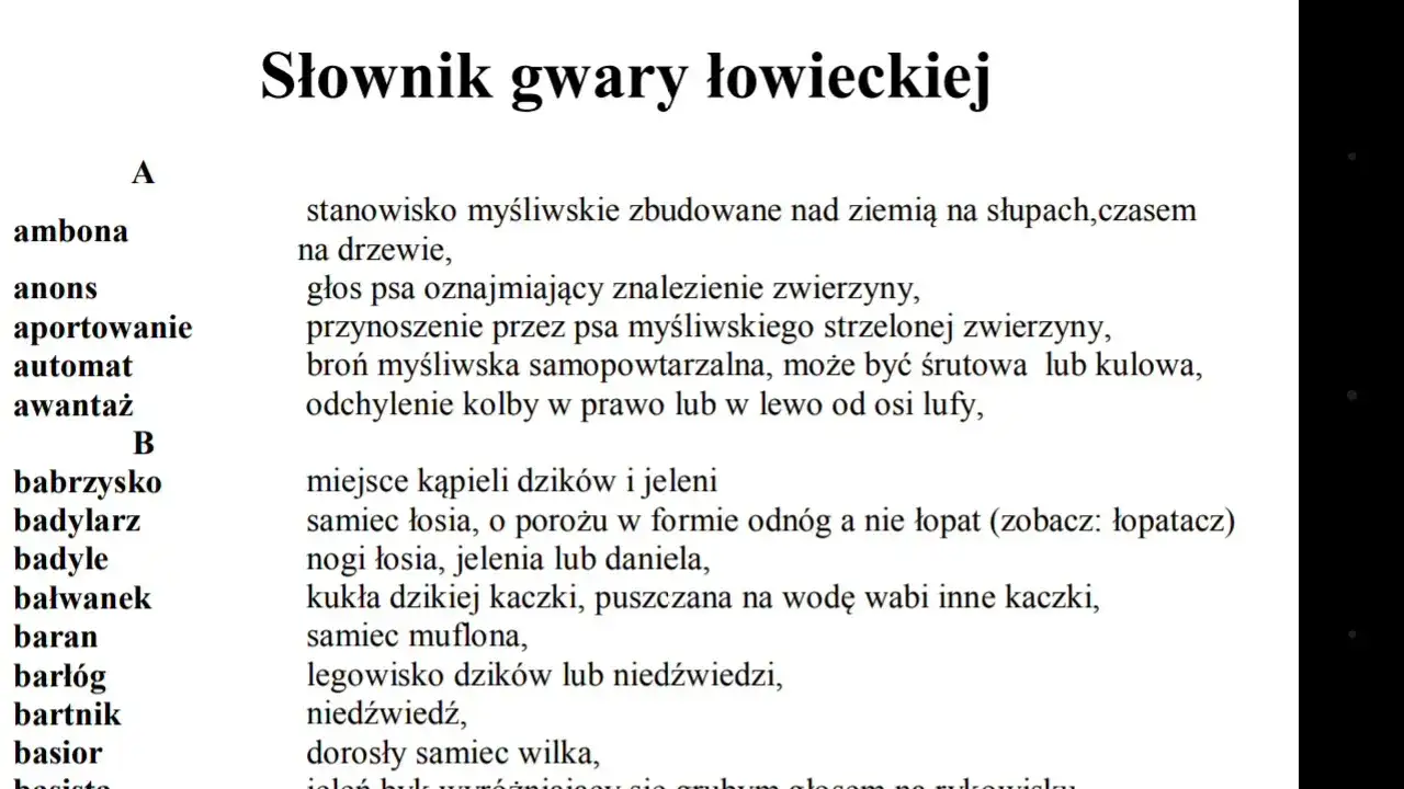Gwara łódzka słownik: dlaczego mówimy "migawka" i "robion"?