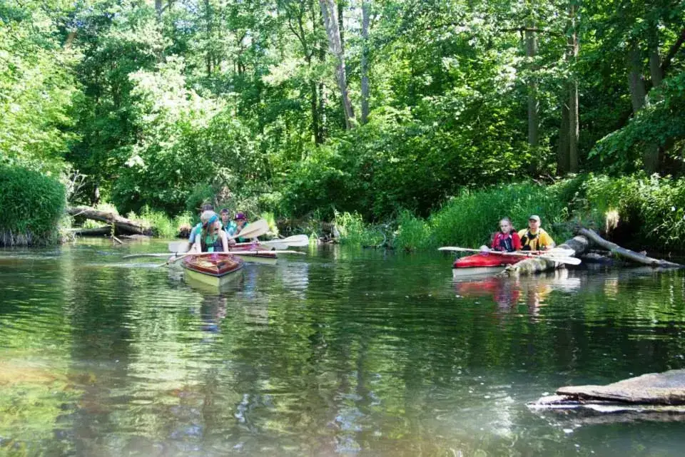 Spływ kajakowy Płock: Wisła czy Skrwa? Wybierz idealną trasę!