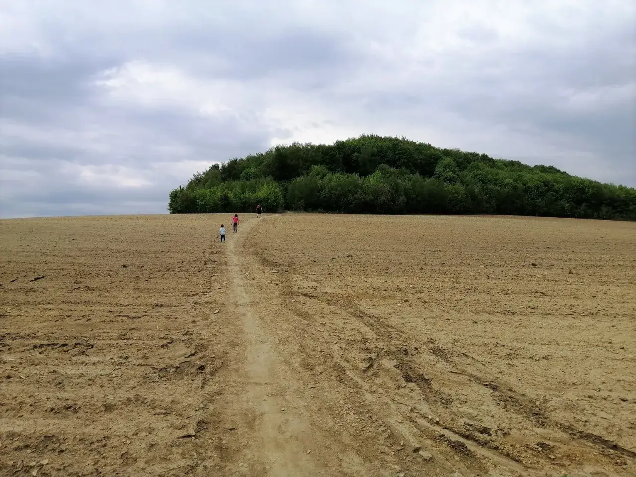 Dzieci idą ścieżką przez puste pole w kierunku zalesionego wzgórza, zwanego Górą Dorotka.