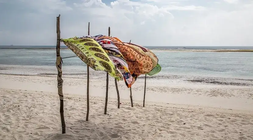 Atrakcje turystyczne Kenii: Safari, plaże i Twój przewodnik marzeń