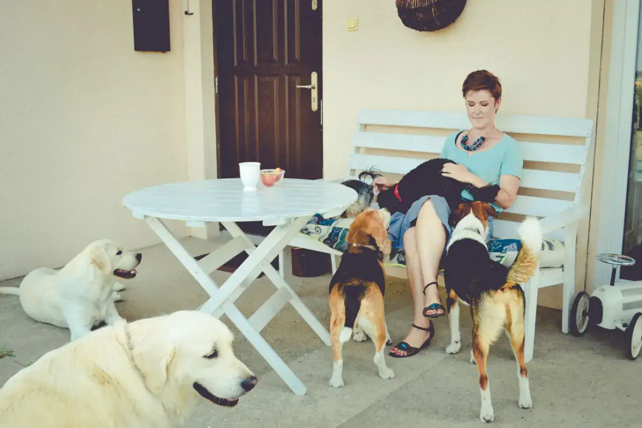 Ile kosztuje psi hotel? Sprawdź ceny i ukryte opłaty w Polsce