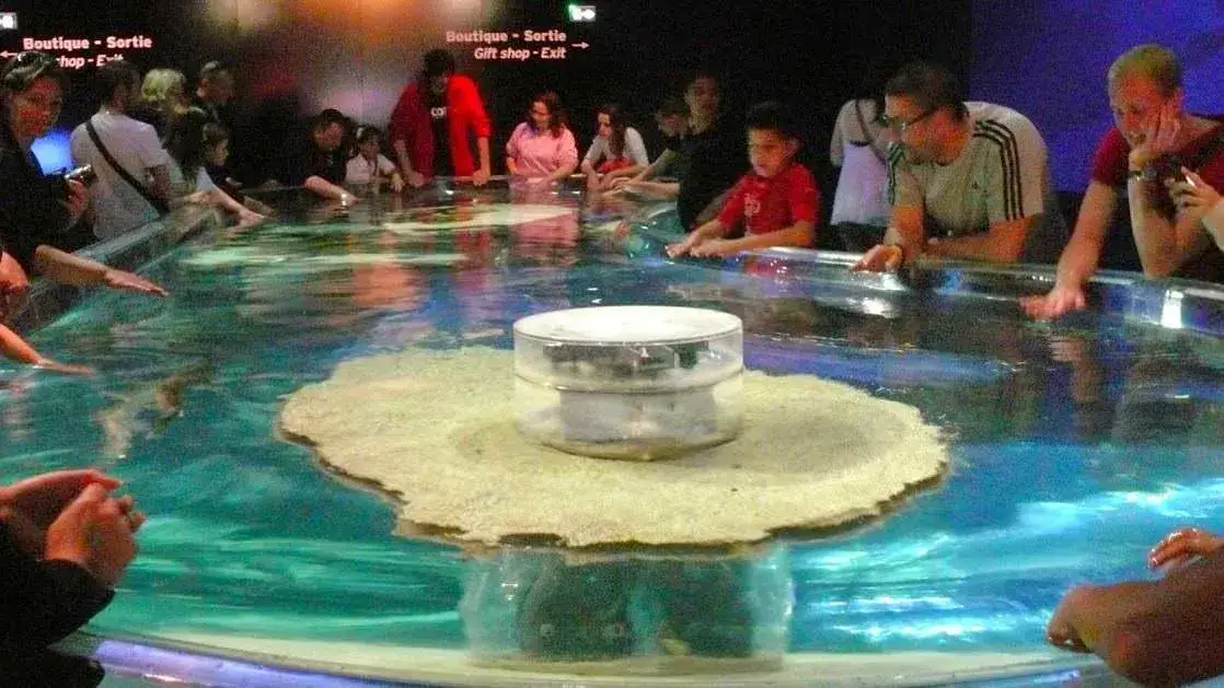 Oceanarium w Monako: Fascynujące wystawy i atrakcje, które musisz zobaczyć