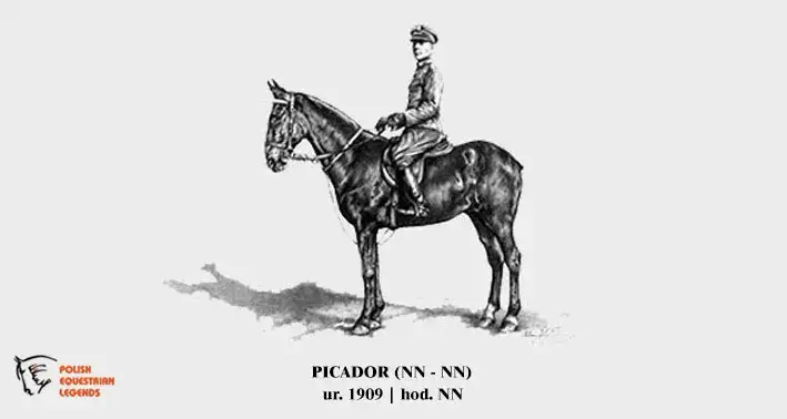 Polskie legendy jeździectwa: Od husarii po złoto olimpijskie