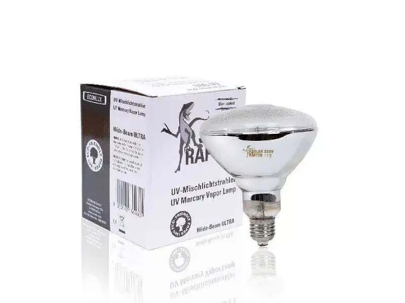 Jaka żarówka dla żółwia wodno-lądowego? Klucz do zdrowia gada!