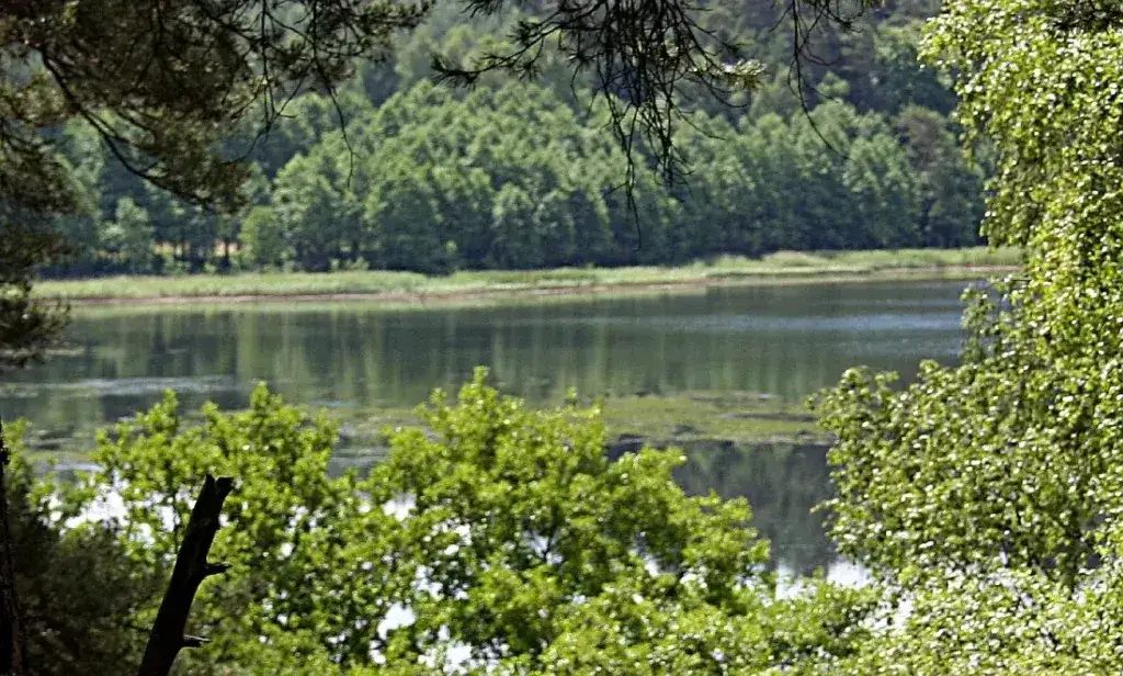 Jezioro Obrzańskie: piękne miejsce na wędkowanie i relaks w naturze