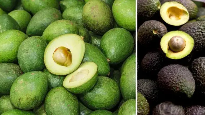 Jakie awokado wybrać, aby uniknąć rozczarowania w guacamole?