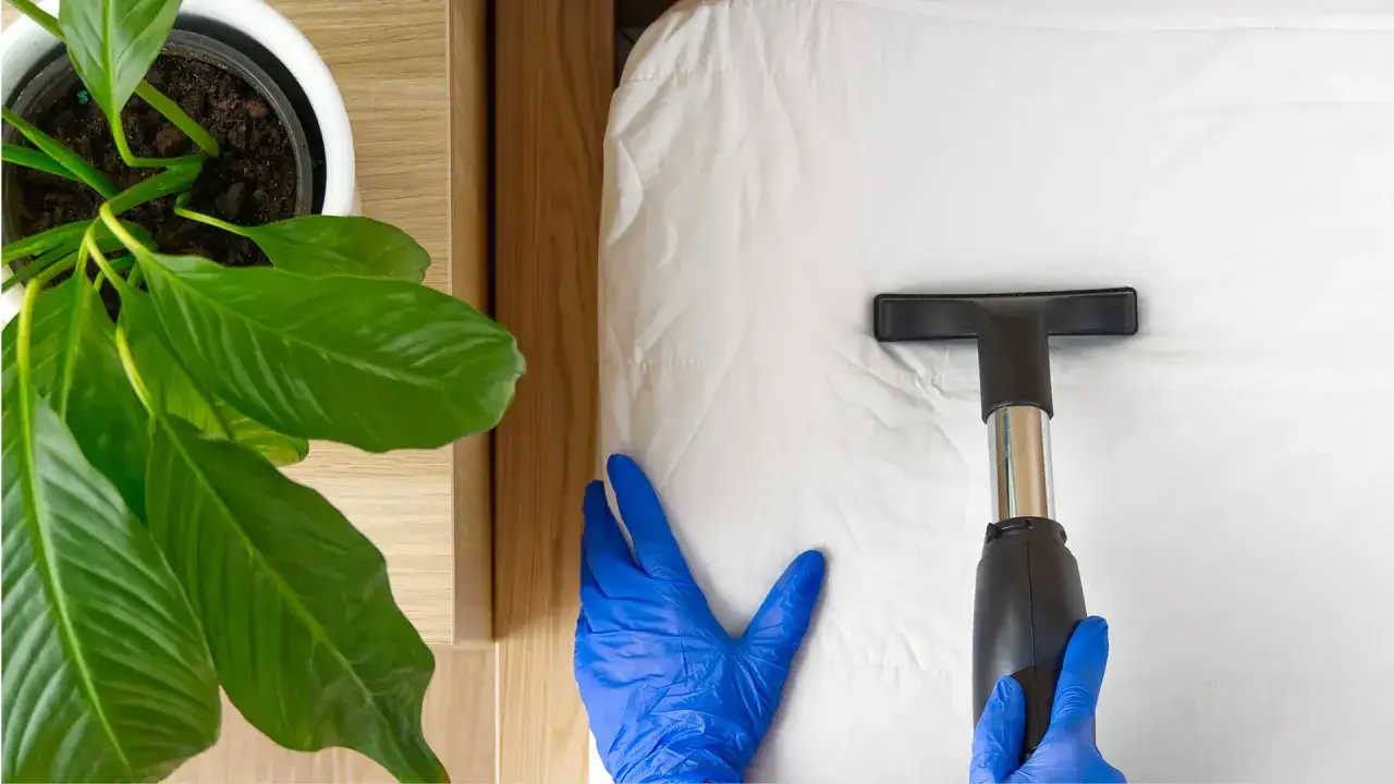 Jak skutecznie zdezynfekować materac? Poradnik krok po kroku