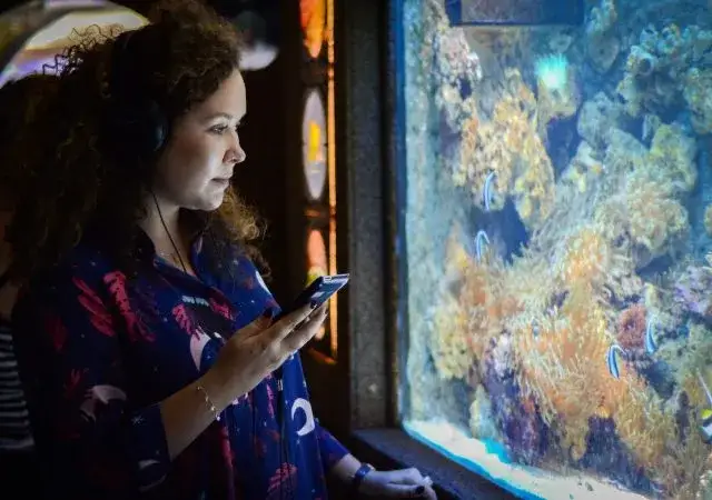 Akwarium Gdyńskie: Jak zaplanować wizytę i uchwycić piękno?