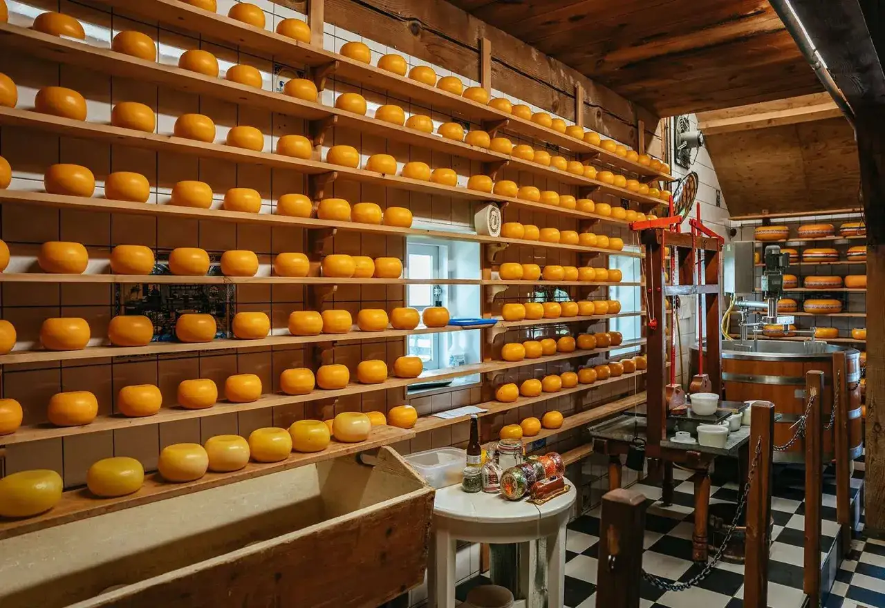 Sery na półkach, idealne, by dowiedzieć się, co zjeść w Amsterdamie. Tradycyjna serowarnia pełna przysmaków.