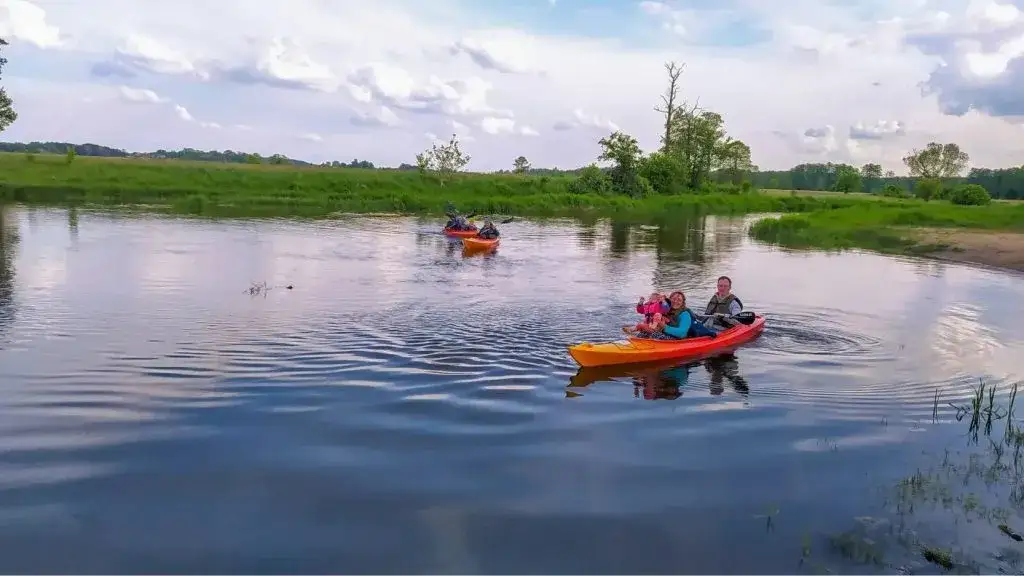 Spływ kajakowy Liwiec cennik – poznaj najlepsze oferty i ceny