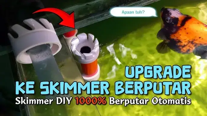 Jak zbudować skimmer do akwarium? Poradnik DIY i oszczędność!