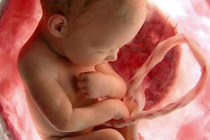 Czy pępowina rośnie wraz z rozwojem dziecka? Odkryj jej znaczenie