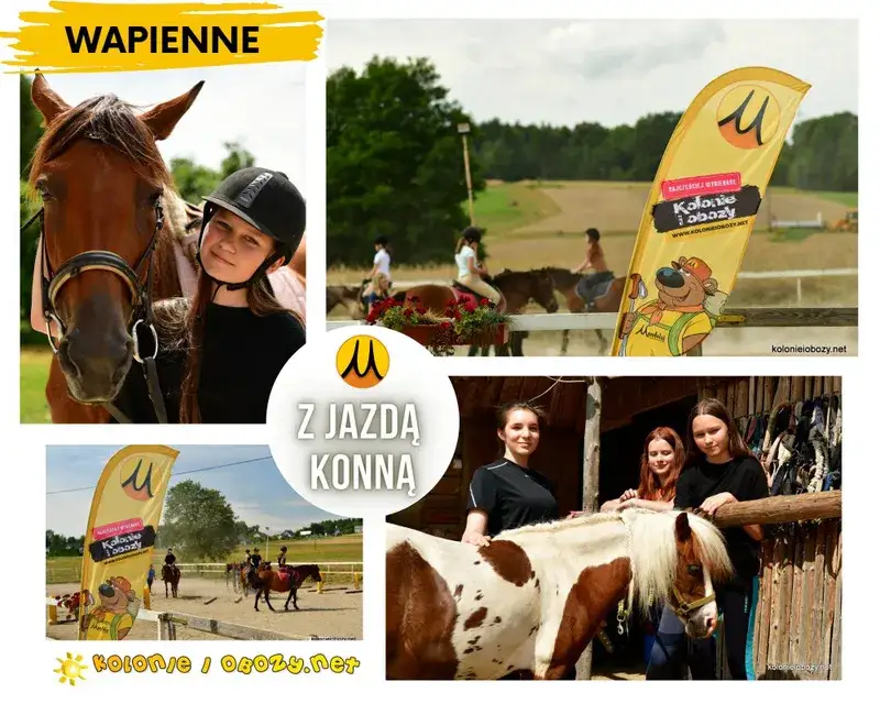 "Urok" Niestępowo: Jeździectwo z certyfikatem PZJ. Dlaczego warto?