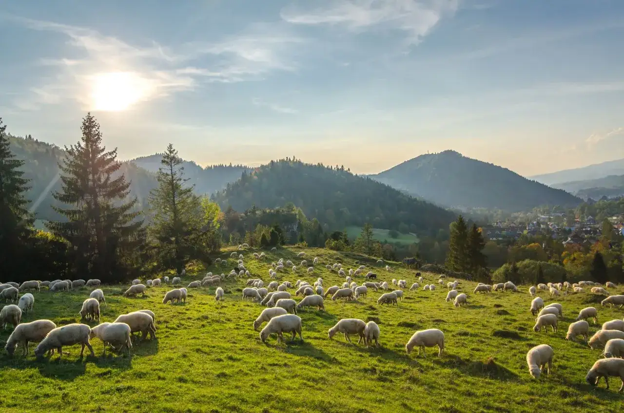 Pieniny gdzie nocleg - najlepsze miejsca na wypoczynek w górach