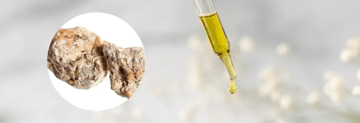 Co to jest piżmo w perfumach i dlaczego jest tak ważne?