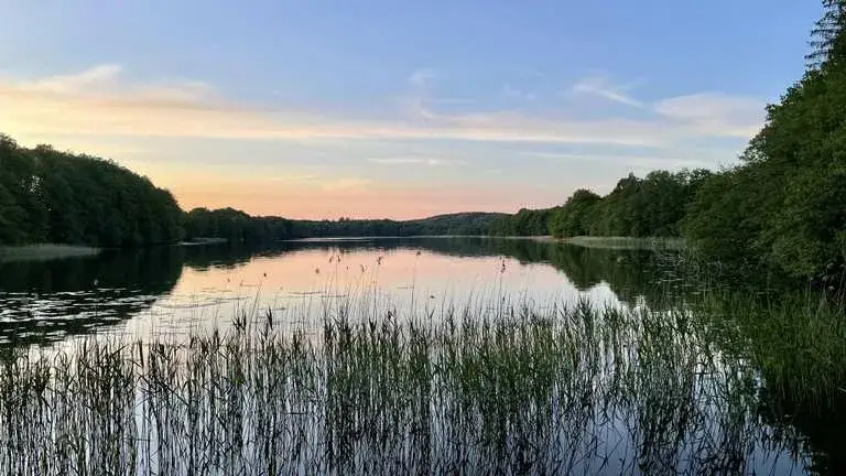 Najlepsze atrakcje w Polanowie, które musisz zobaczyć na wyjeździe