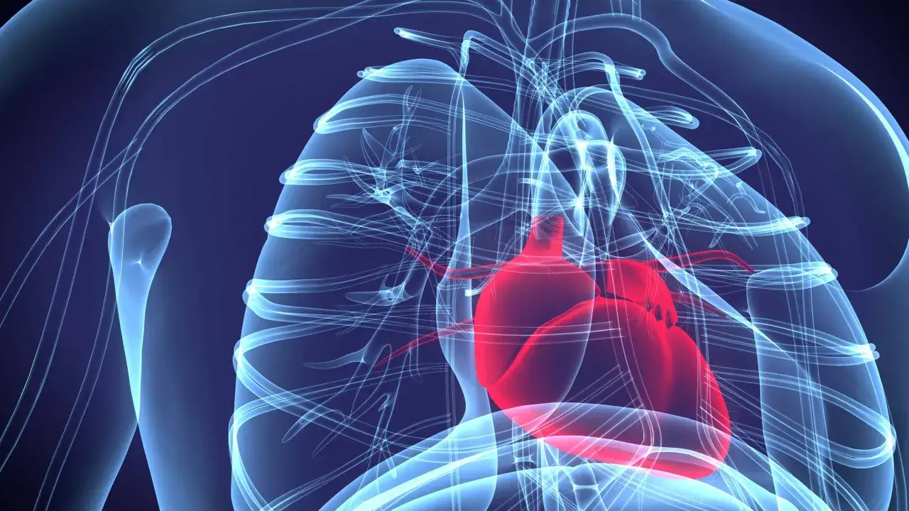 Alkohol po koronarografii - kiedy bezpiecznie wrócić do spożywania