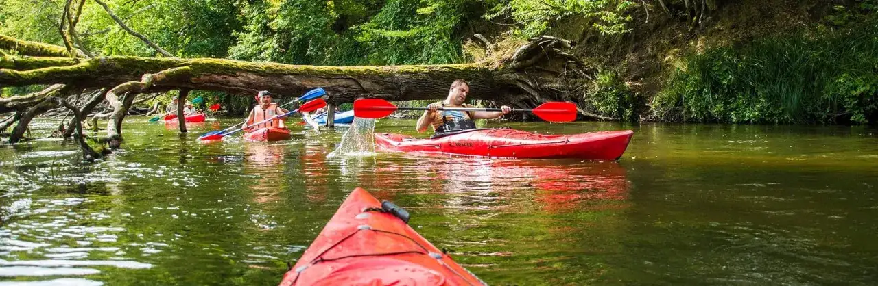 Spływ kajakowy Drawą (Drawno): Jak zaplanować? Trasy, koszty, porady