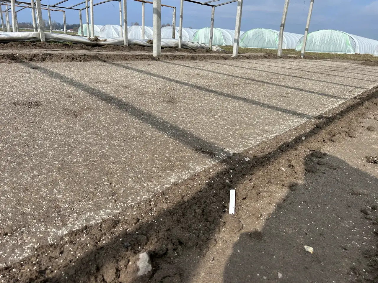 Skuteczne odkażanie gleby: Naturalnie czy chemicznie?