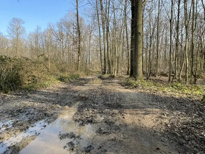 Enduro w Île-de-France: Najlepsze trasy i porady dla motocyklistów