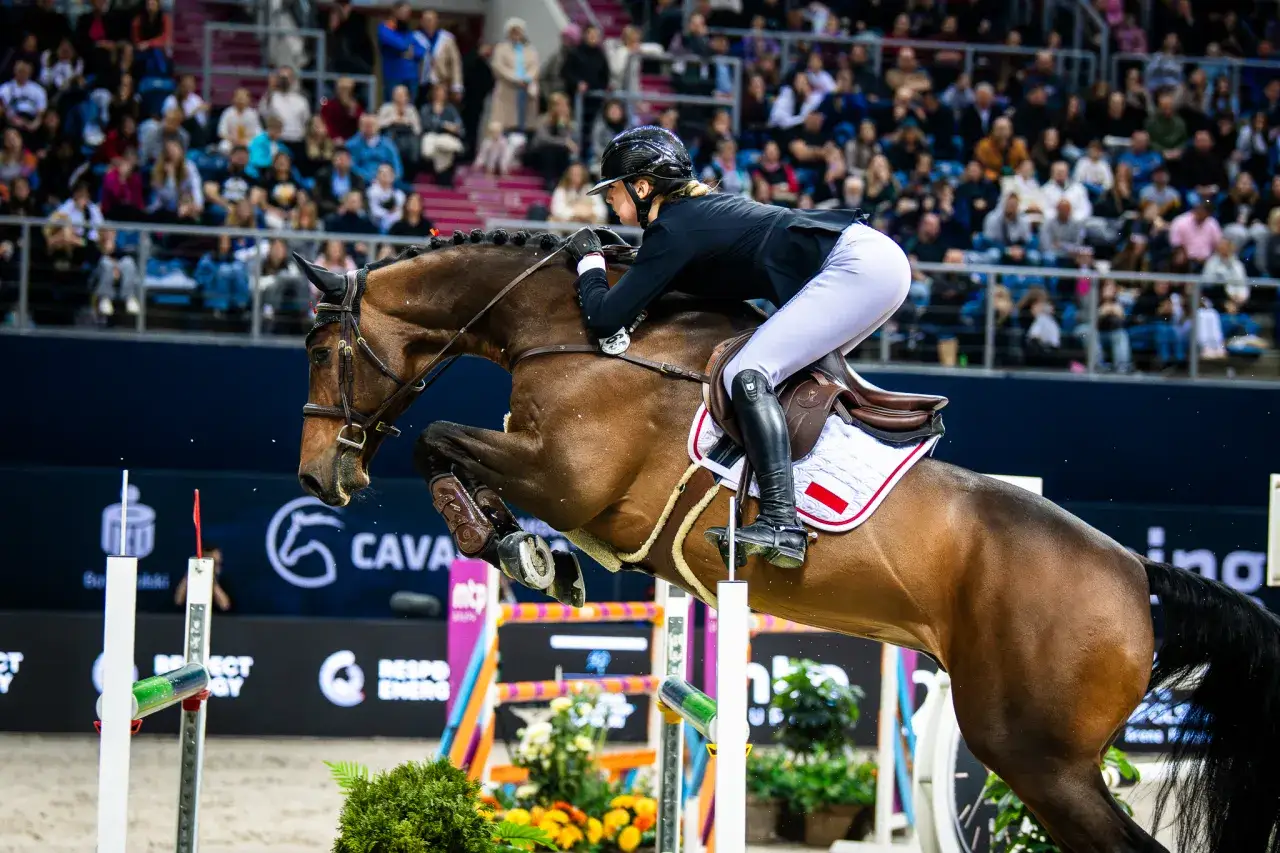 Katedra Hodowli Koni UWM Olsztyn: Odkryj Świat Jeździectwa i Nauki