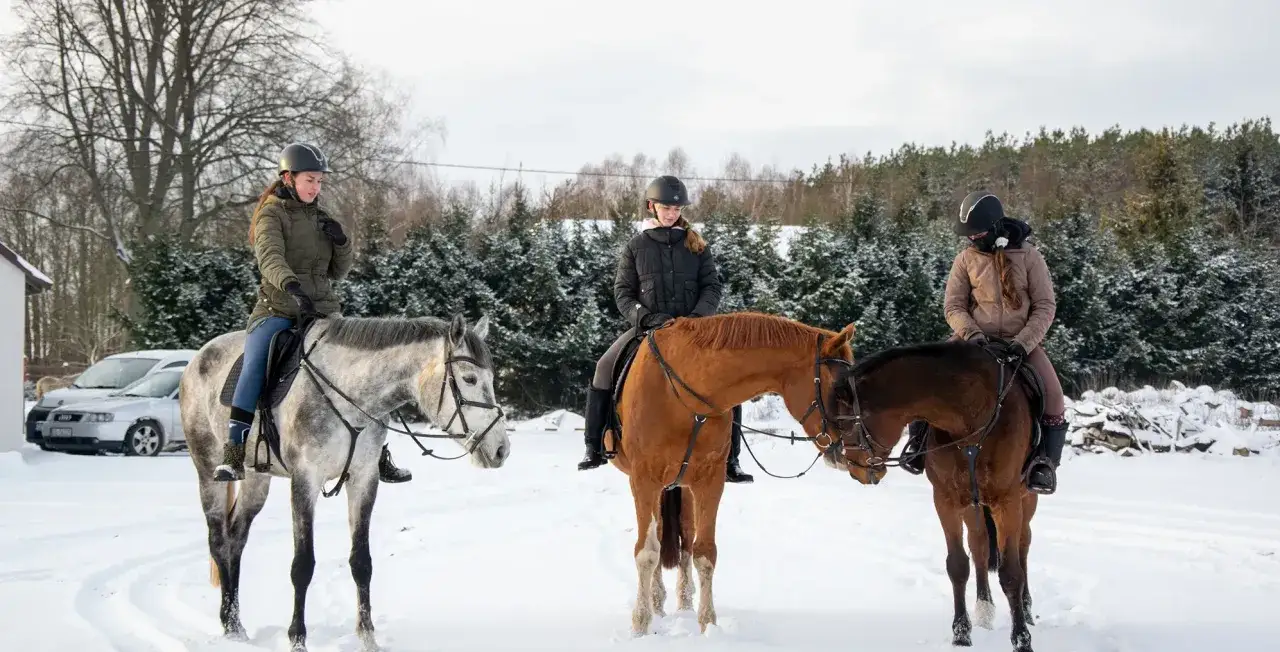 Stadnina koni Konin: Gdzie jeździć? Oferta, ceny, porady