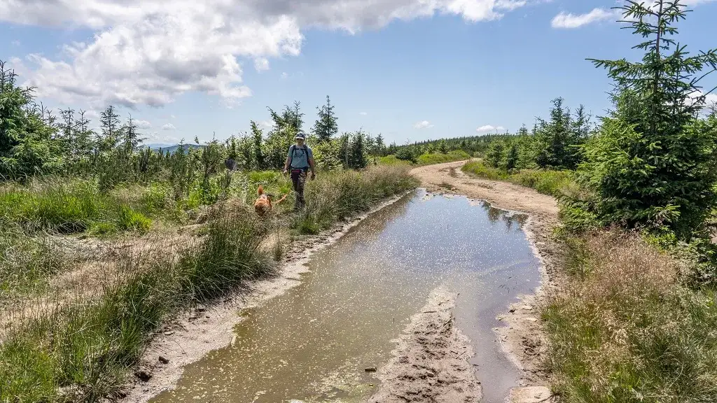 Beskid Śląski atrakcje – odkryj najciekawsze miejsca i przygody