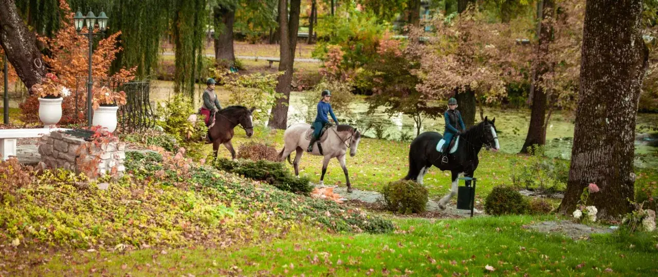 Stadnina koni Gdańsk: Odkryj najlepsze miejsca i ceny!