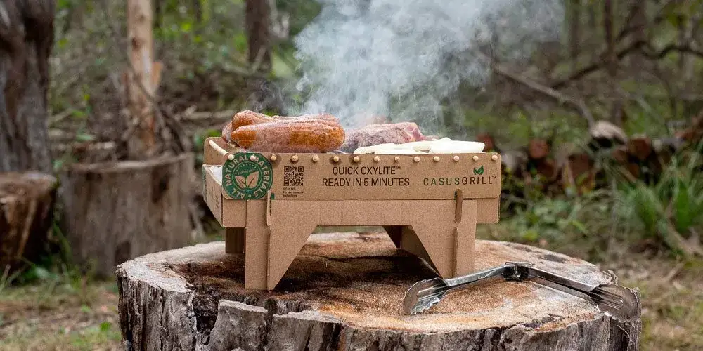 Ekologiczne grille: jak grillować bez szkody dla środowiska