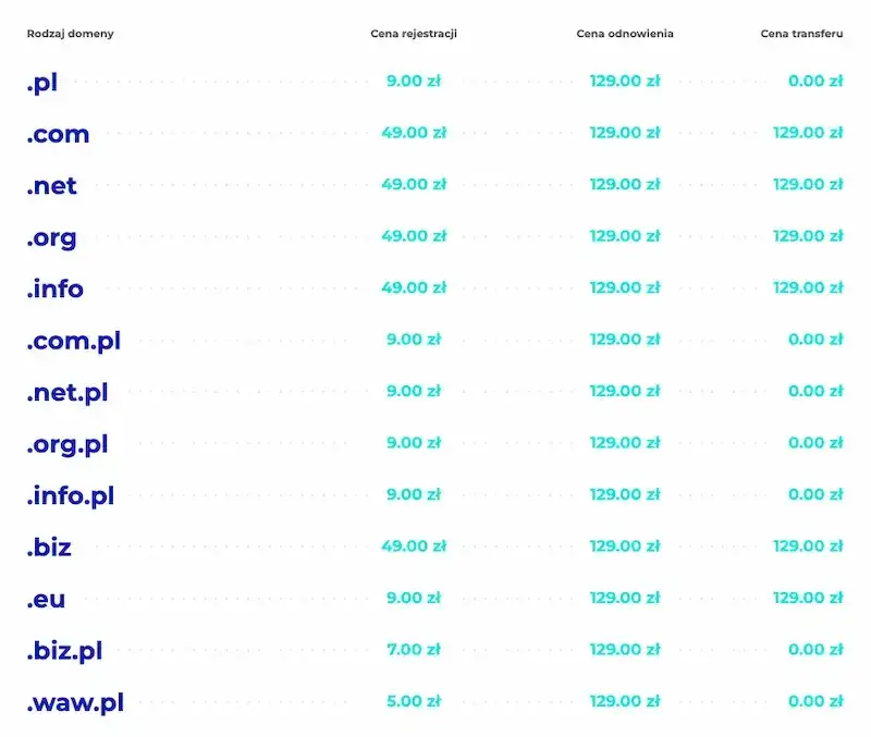 Domena internetowa: Twój adres w sieci. Jak działa i ile kosztuje?