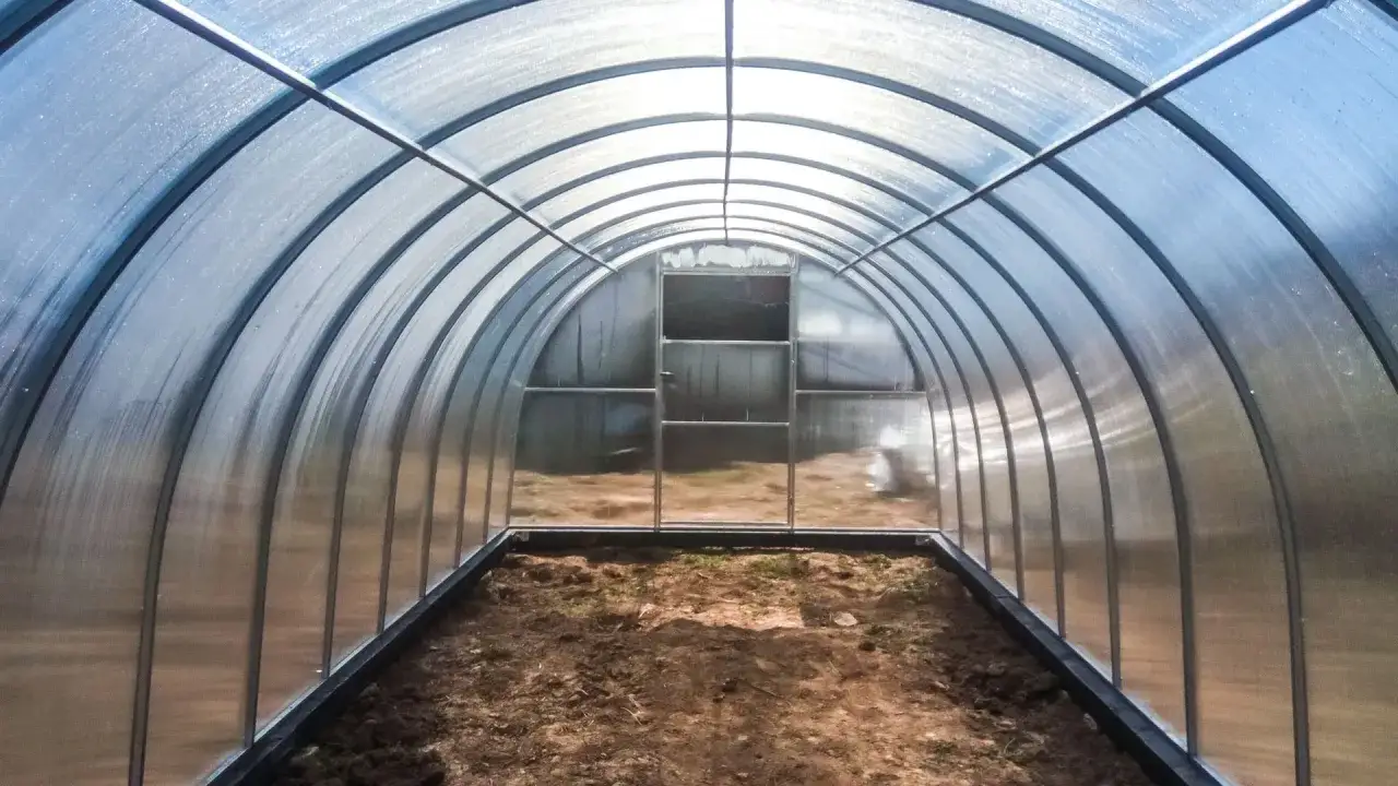 Czym się różni poliwęglan od plexi? Kluczowe różnice i zastosowania