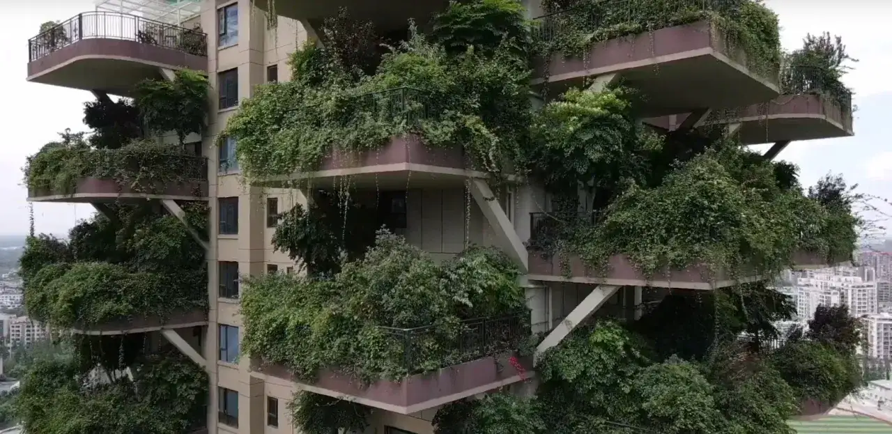 Zielone osiedle: Wybierz idealne drzewa bez ryzyka i kar!