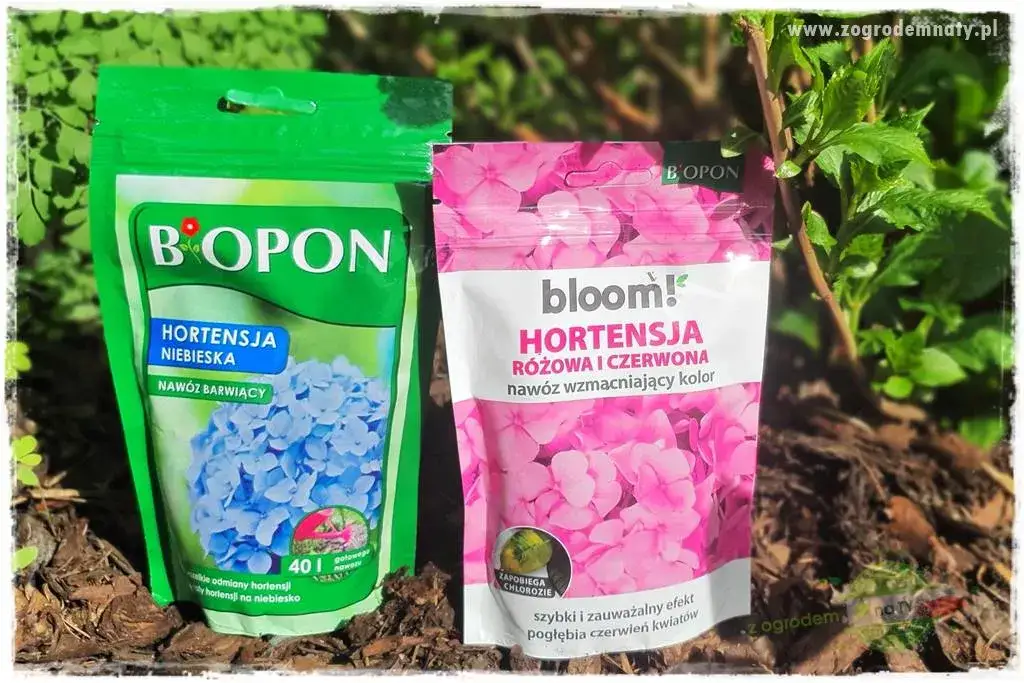 Jaki nawóz pod kwiaty w ogrodzie? Sekret bujnego kwitnienia!