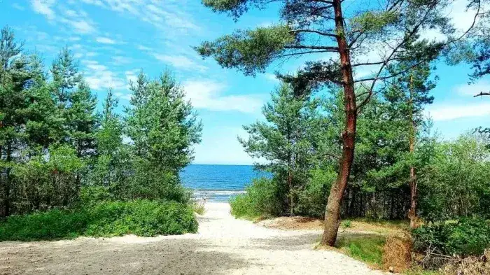 Najciekawsze atrakcje Sztutowa, które musisz zobaczyć podczas wizyty