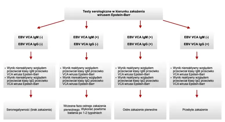 Mononukleoza zakaźna: Badania krwi i interpretacja. Czy to ona?