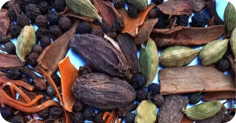 Kardamon na odchudzanie: Jak stosować, by wspierać metabolizm?