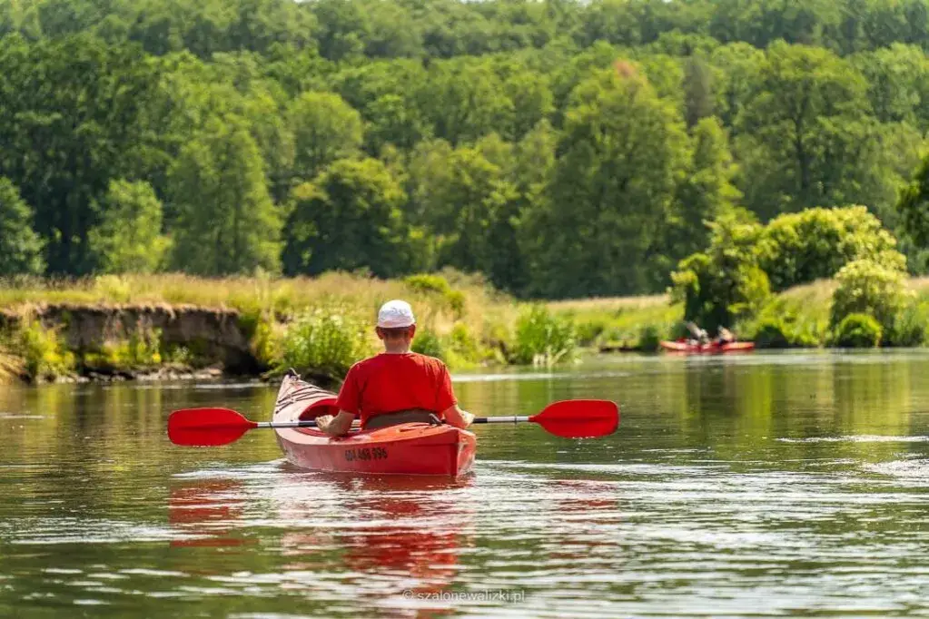 Najpiękniejsze spływy kajakowe w Wielkopolsce Twój przewodnik!
