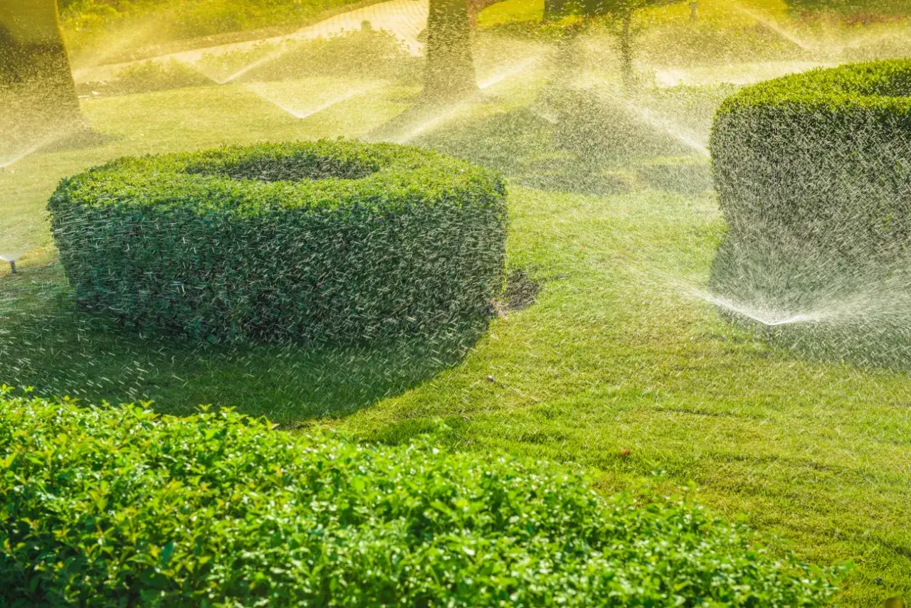 Jak ustawić zraszacz ogrodowy, aby uniknąć problemów z nawadnianiem