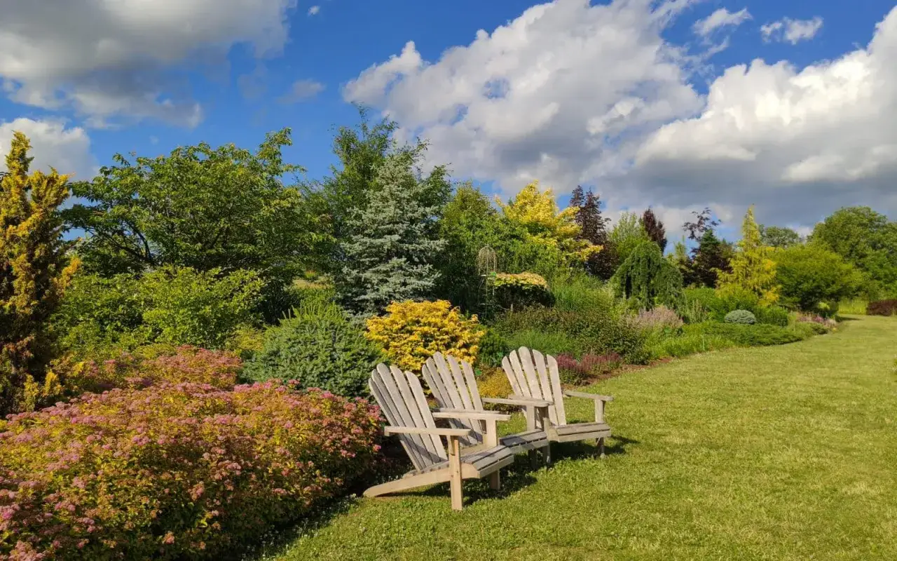 Trzy drewniane fotele na trawniku przed bujnym, kolorowym ogrodem i błękitnym niebem.