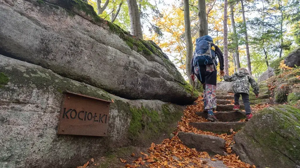 Najlepsze atrakcje w Michałowicach, które musisz zobaczyć