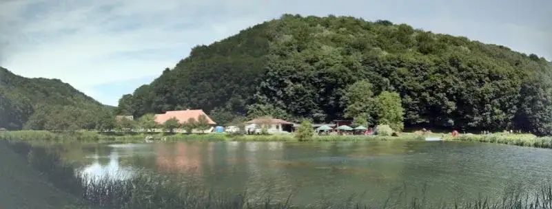 Dolina Będkowska łowisko - najlepsze miejsca na wędkowanie i ryby