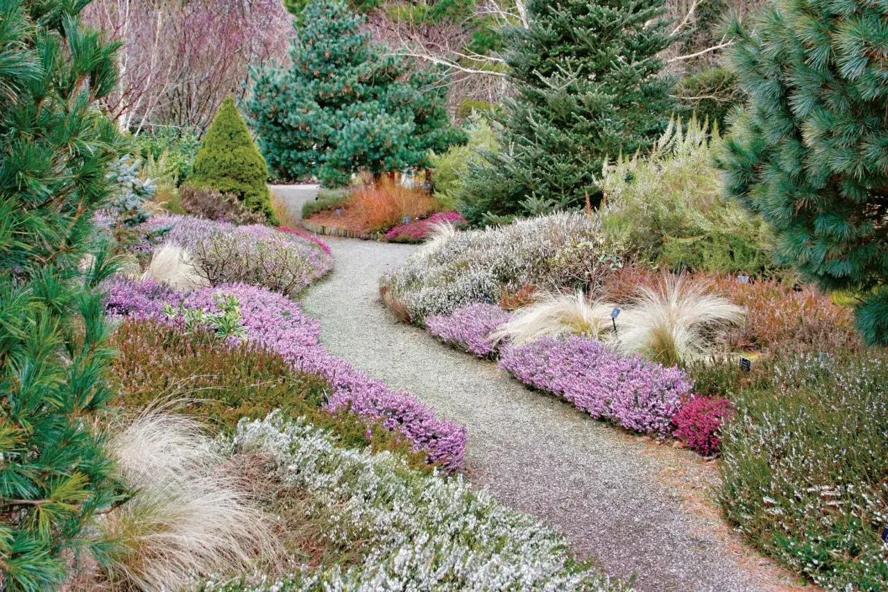 Kwiaty mrozoodporne: Ogród pełen życia zimą i wiosną