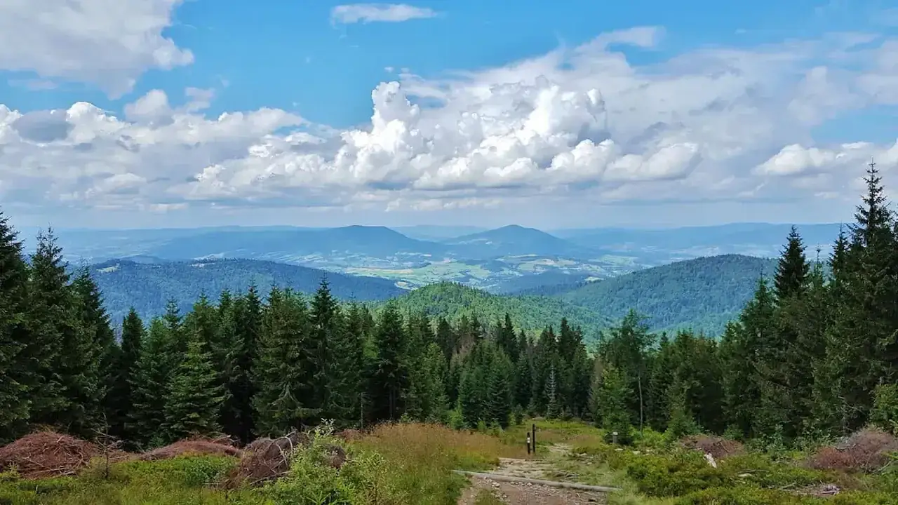 Co jest symbolem Gorczańskiego Parku Narodowego i jego znaczenie dla ekosystemu