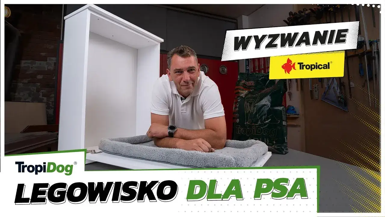 Jak zrobić legowisko dla psa - proste sposoby na wygodne posłanie