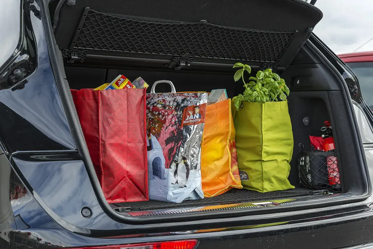 Jak przewieźć zamrożoną żywność bez ryzyka jej rozmrożenia