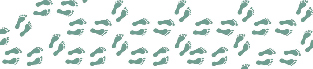 Jak obliczyć kalorie spalane podczas 10 km spaceru - kalkulator