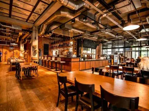 Stadnina koni Zgierz - najlepsze stajnie i jazda konna w regionie