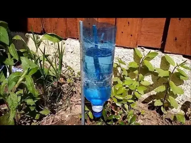 Nawadnianie roślin z butelki PET: Proste DIY na urlop i co dzień