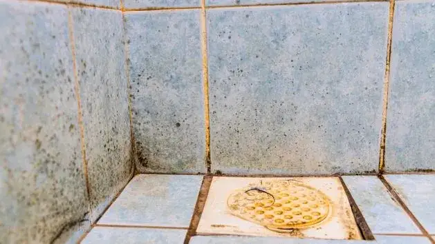 Skuteczne metody na to, czym wyczyścić fugi pod prysznicem